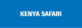  Kenya Safari