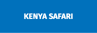 &nbsp;Kenya Safari